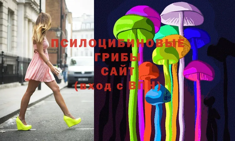 МЕГА ссылки  Избербаш  Псилоцибиновые грибы MAGIC MUSHROOMS 